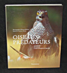 Oiseaux prédateurs