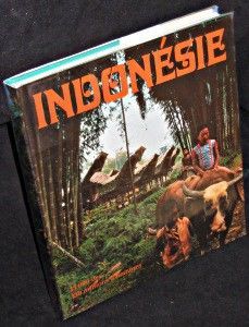 Indonésie. 13000 îles 130 millions d'hommes