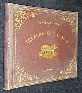 Les animaux sauvages