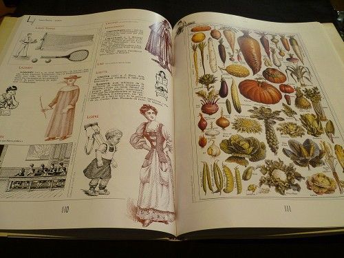 Larousse insolite (dictionnaire en images)