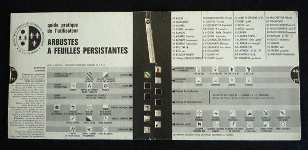 Guide pratique de l'utilisateur : arbustes à feuilles persistantes, arbustes à feuilles caduques