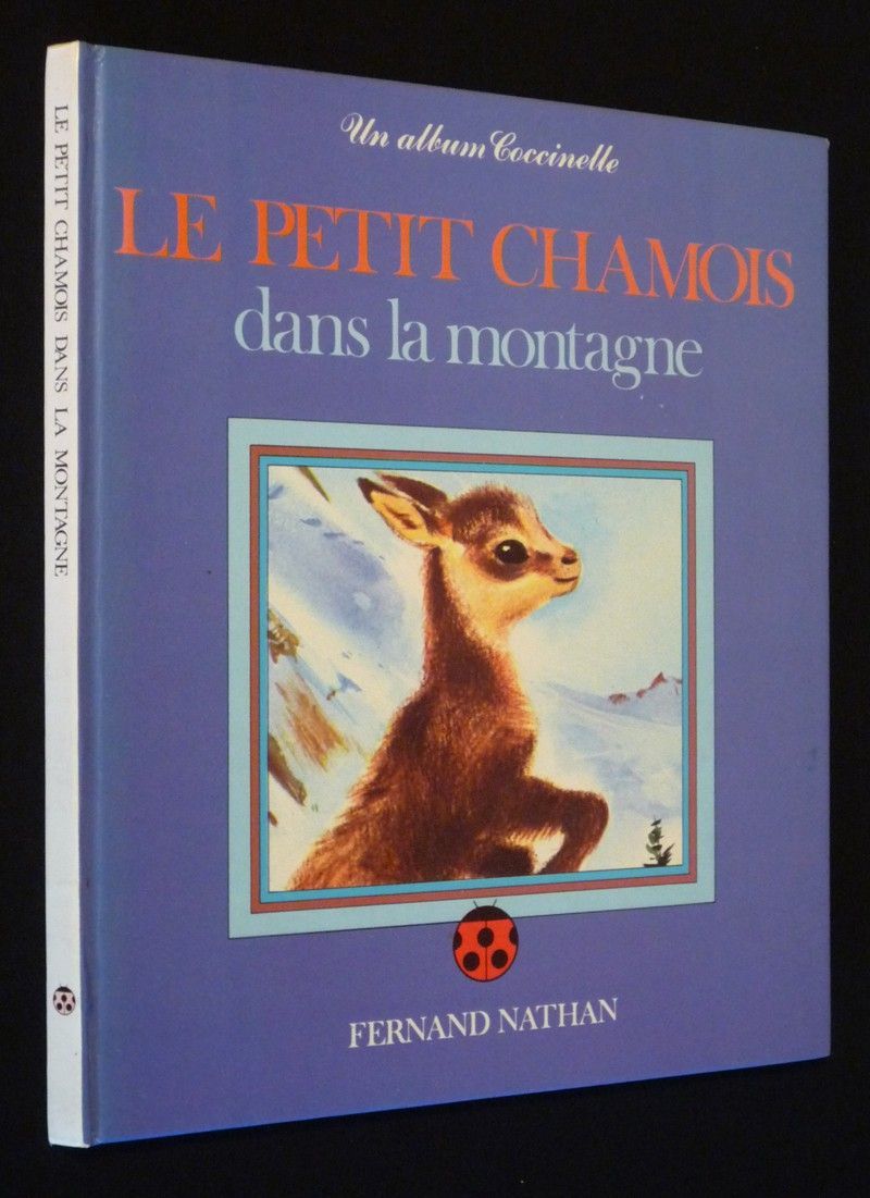 Le Petit Chamois dans la montagne