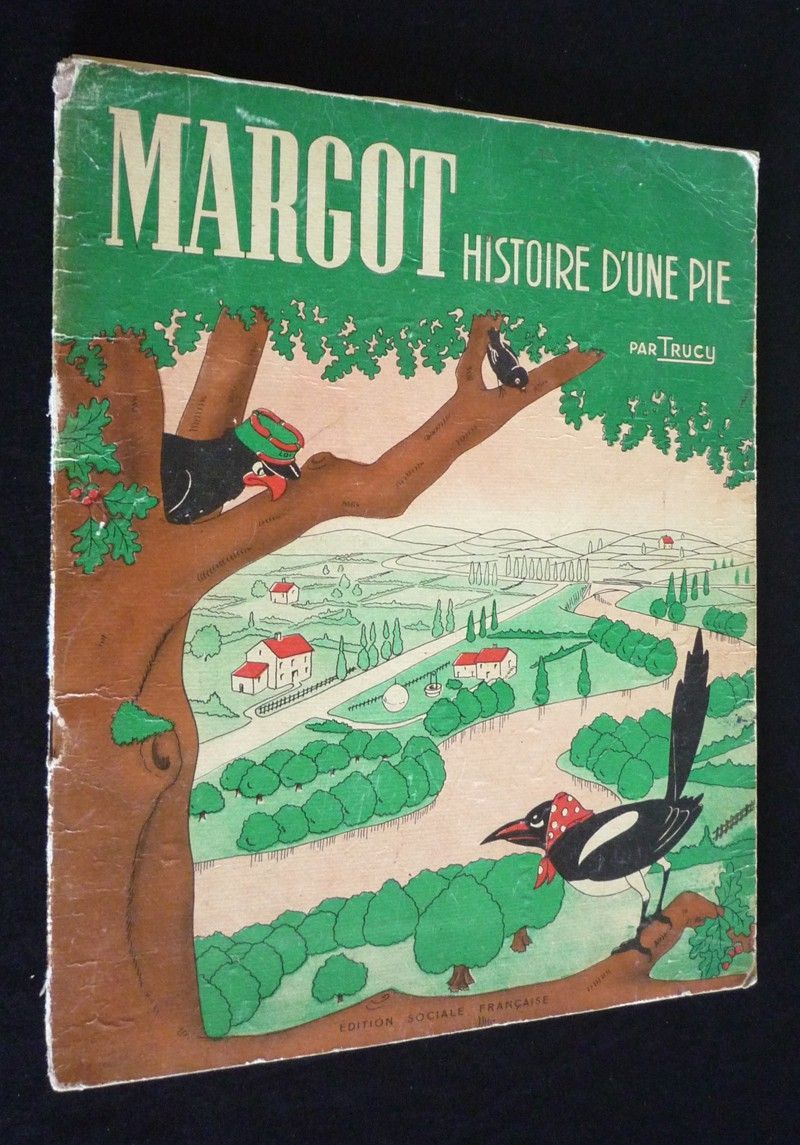 Margot, histoire d'une pie