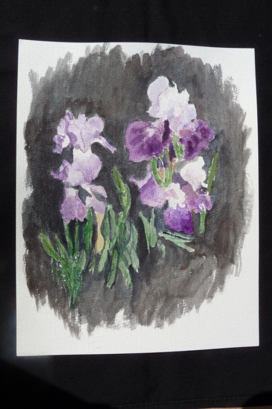 Aquarelle originale de Vaubourg : iris