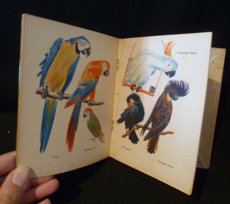 Les oiseaux du zoo