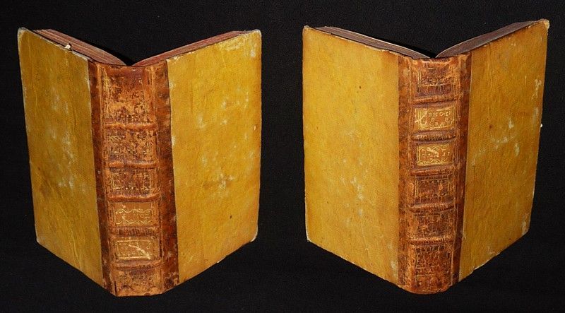 Mémoires secrets de M. le Comte de Bussy Rabutin, contenant sa vie publique et privée, ses avantures galantes, ses expéditions militaires, les intrigues de la Cour, & les événemens les plus interessans de l'Europe... (2 volumes)