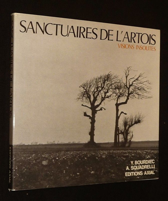 Sanctuaires de l'Artois : Visions insolites