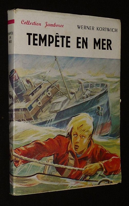 Tempête en mer