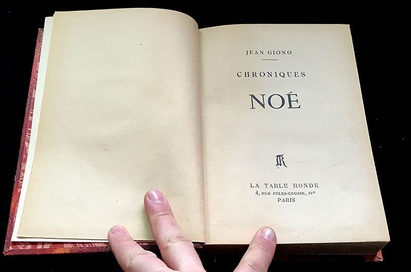 Noé. Chroniques