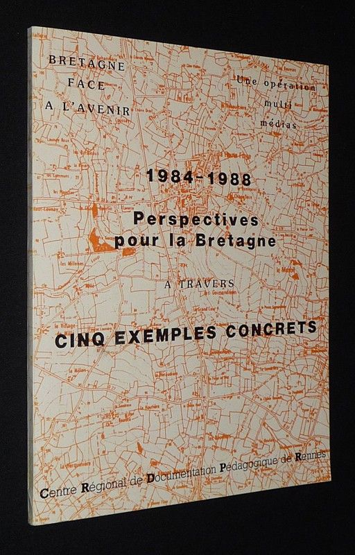 Perspectives pour la Bretagne à travers cinq exemples concrets (1984-1988)