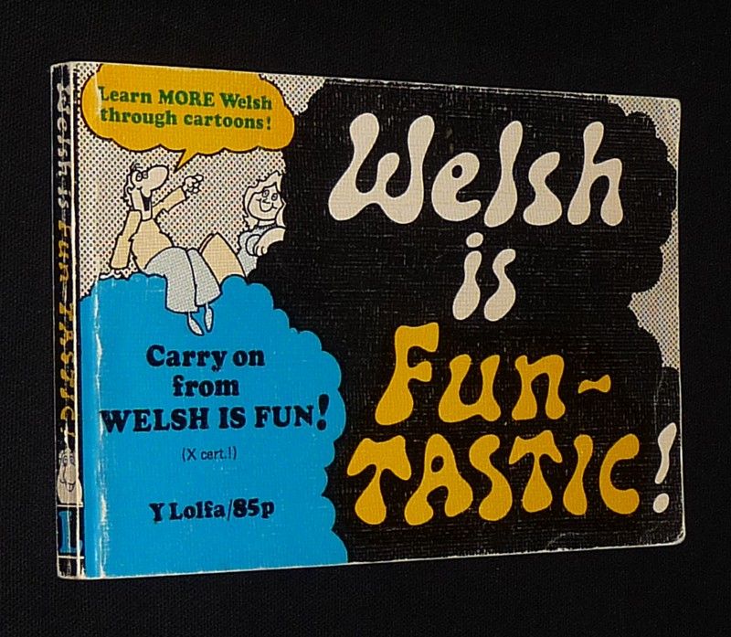 Welsh is Fun-tastic !