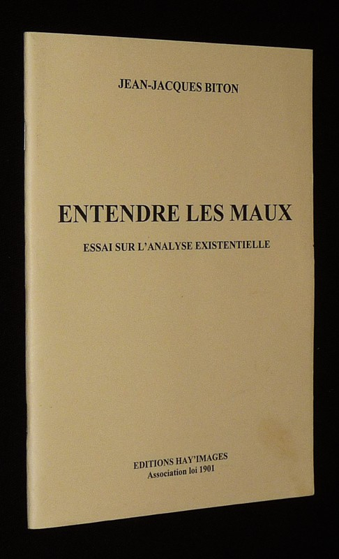 Entendre les maux : Essai sur l'analyse existentielle