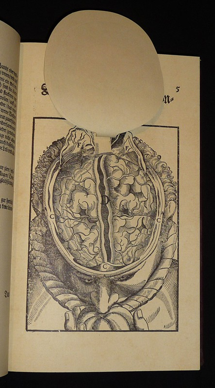 Ophthalmodouleia das ist Augendienst