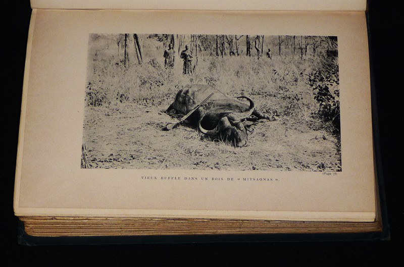 Chasses aux grands fauves pendant la traversée du continent noir du Zambèze au Congo français