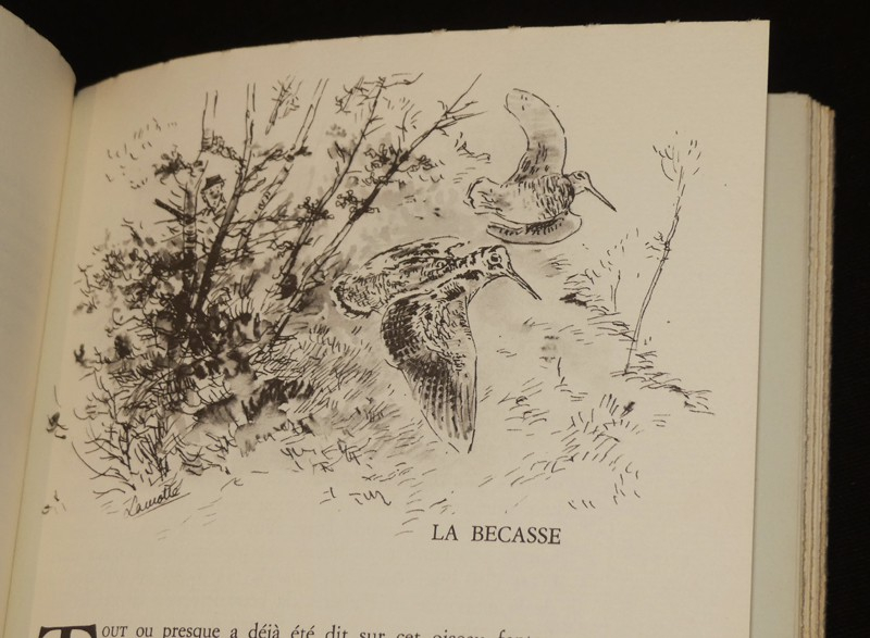 La Chasse buissonnière