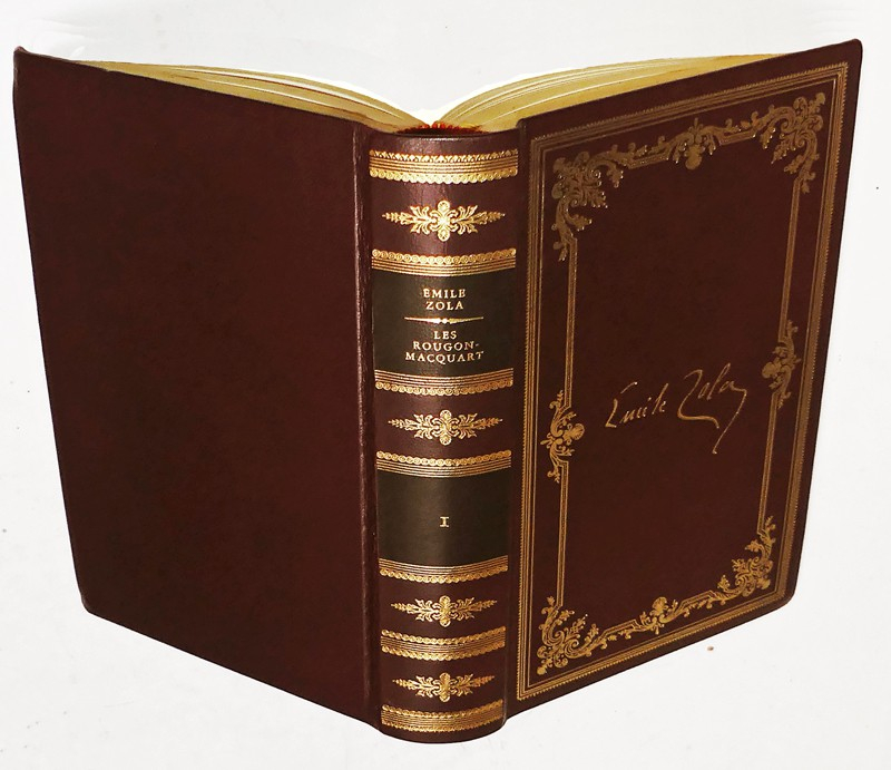 Les Rougon-Macquart (complet en 20 volumes)