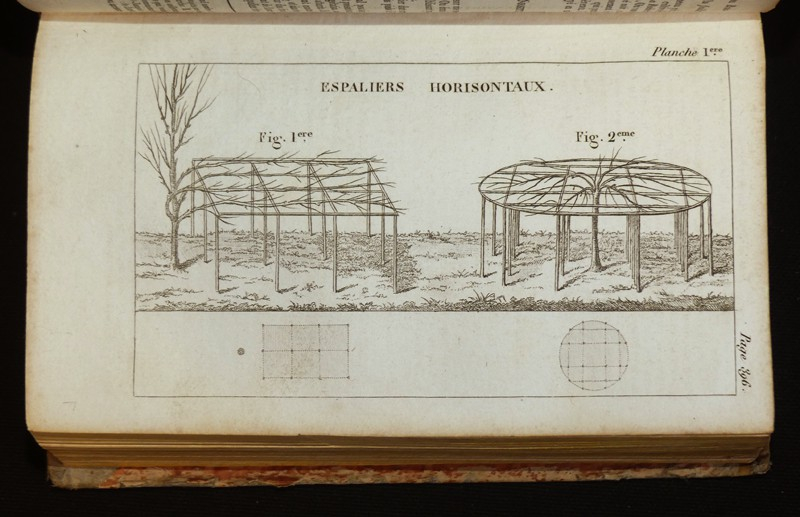 Le Bon Jardinier : Almanach pour l'année 1818